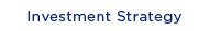 Investment Strategy